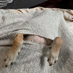 Meet your Posher, Jill